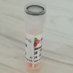 Enterococcus faecalis CRM (100...